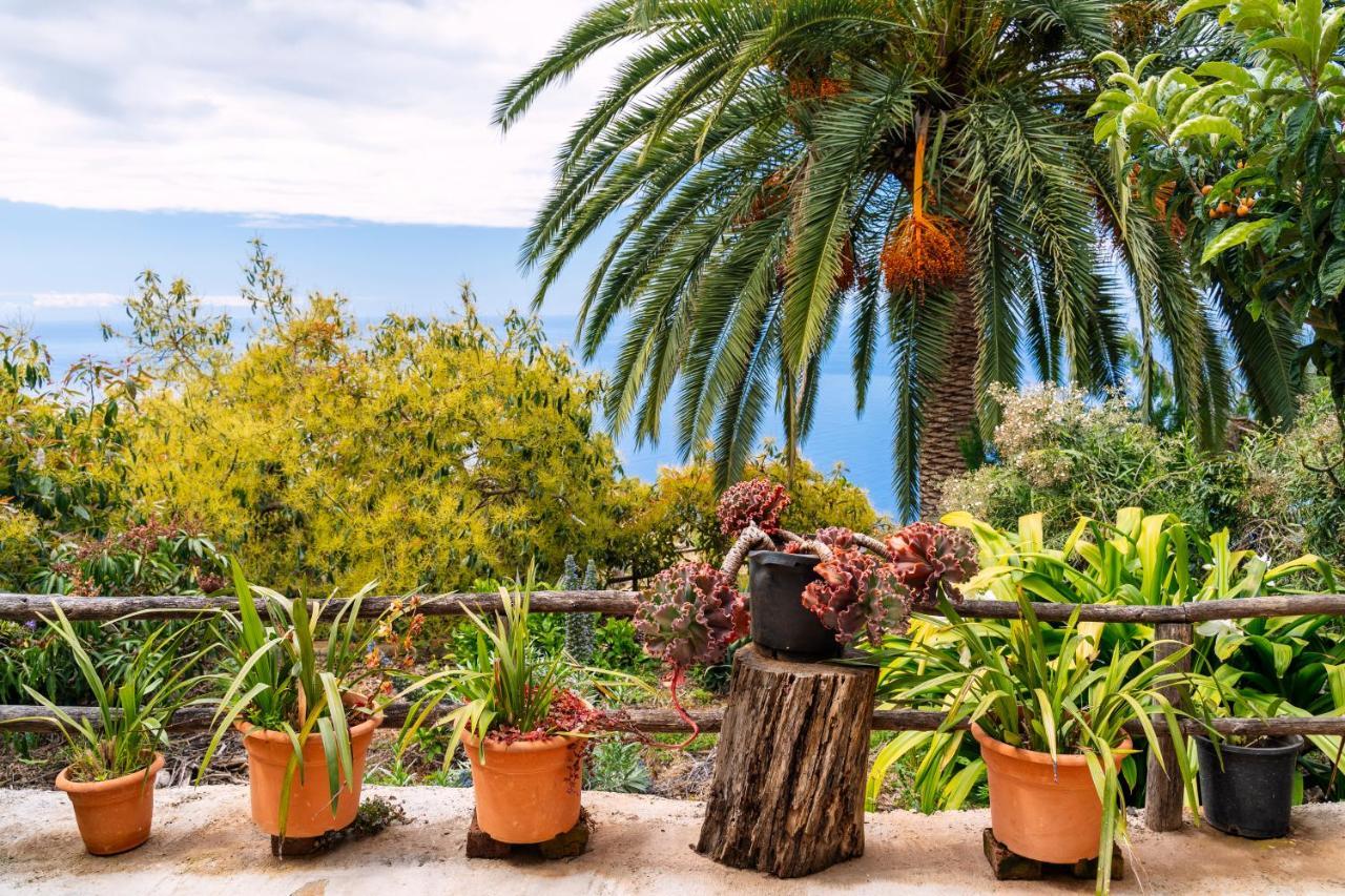 El Palmeral Tinizara 외부 사진